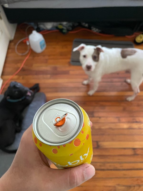 “The only cold beverage in my house after 3 hours of yard work just tried my life.”