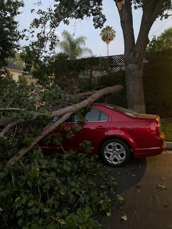 “This was my car this morning.”