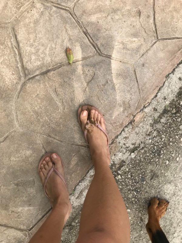 “Today while picking my dog shit a bit fell in my flip flop and I had to walk 15 minutes home like this.”