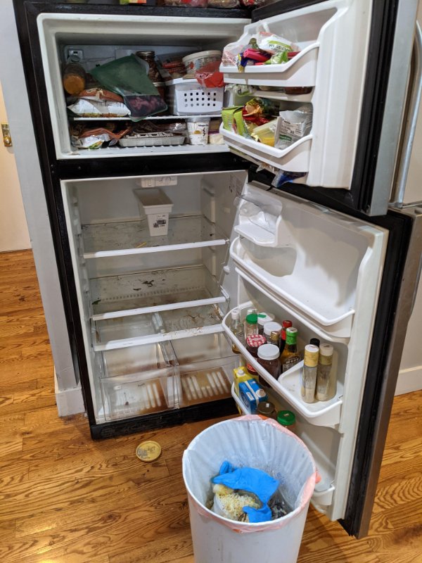 “Got home from vacation only to find out our fridge and freezer have been dead for 10 days.”