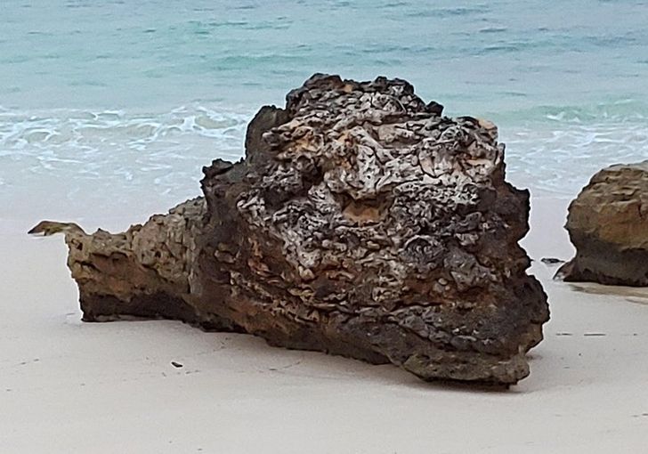 “This rock looks like a dragon’s head.”