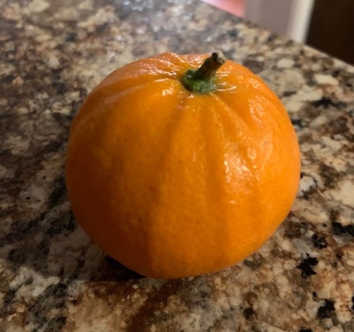 “My orange looks suspiciously pumpkin-like.”