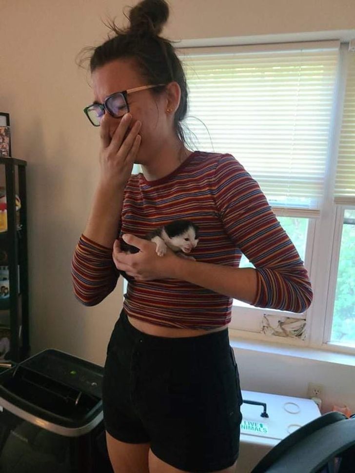 “I got to meet newborn kittens yesterday. Needless to say, it was an emotional experience.”