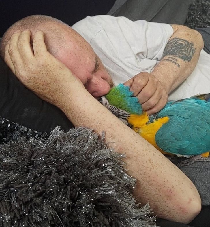 “My dad isn’t well, so Vinny has come to give him emergency cuddles. Vinny cuddles fix everything.”