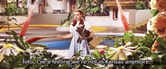 “Kansas isn’t a real state…. Hahaha….. it was in the wizard of oz” in sophomore year of high school I heard this……