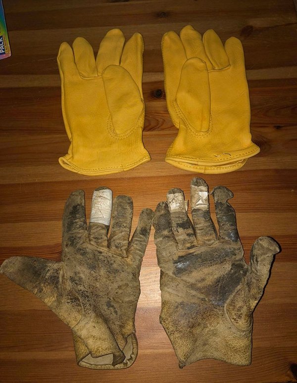 My work gloves after 1 month.