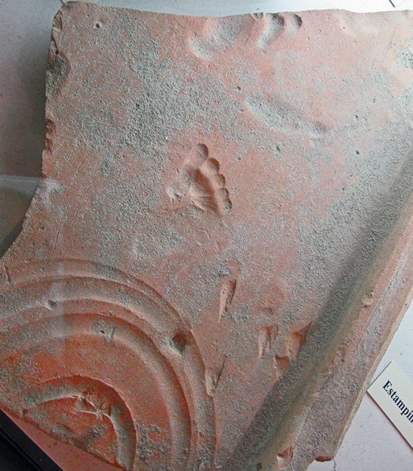 Roman clay tile with footprint left by a toddler as it dried 2000 years ago.