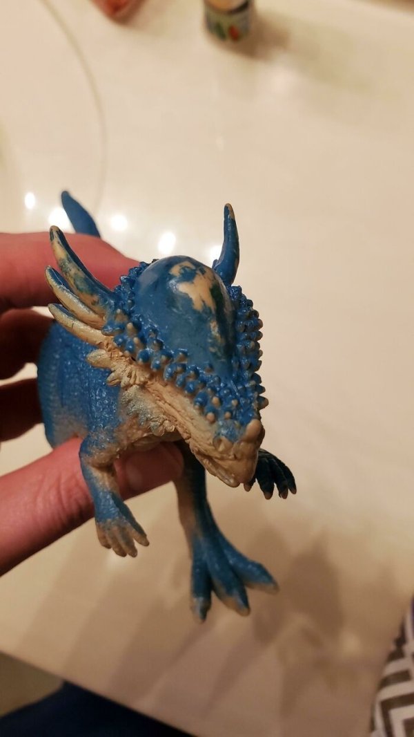 Spot worn on my son’s pachycephalosaurus’ head from years of head-butting other dinosaurs