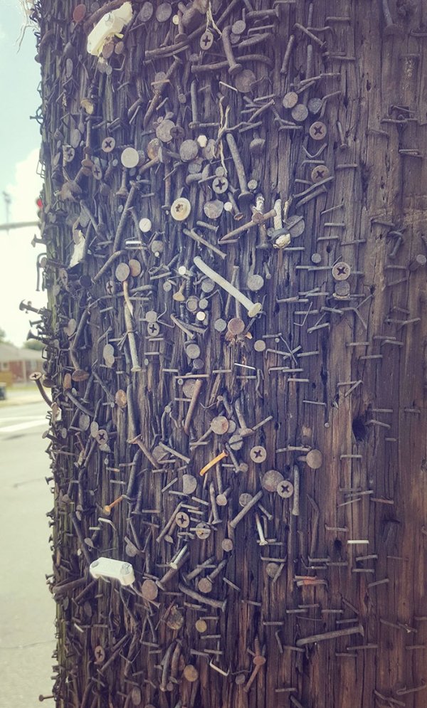 Snapped this pic while taking my morning walk. Over used telephone pole.