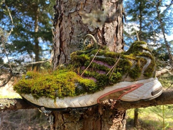 This Nike that we found while hiking.