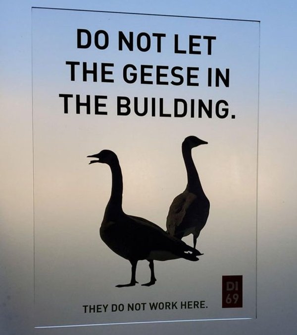 fauna - Do Not Let The Geese In The Building. Di 69 They Do Not Work Here.