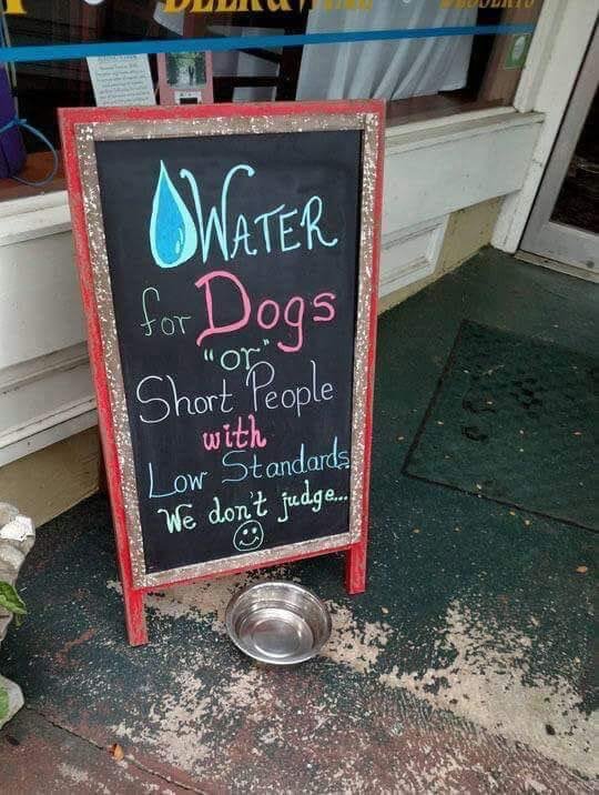 dog water bowl signs - Vater for Dogs or" Short People with Low Standards We don't judge.