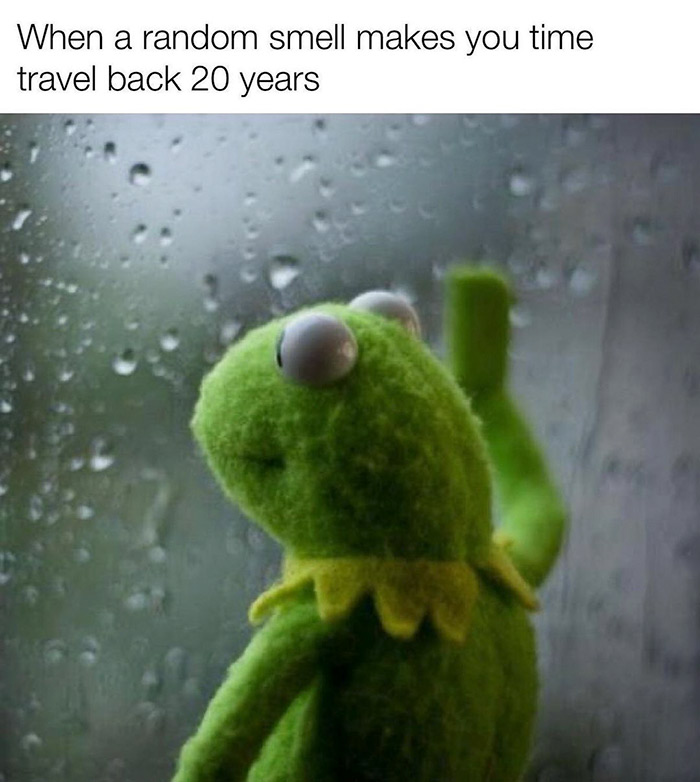 kermit rain window - When a random smell makes you time travel back 20 years