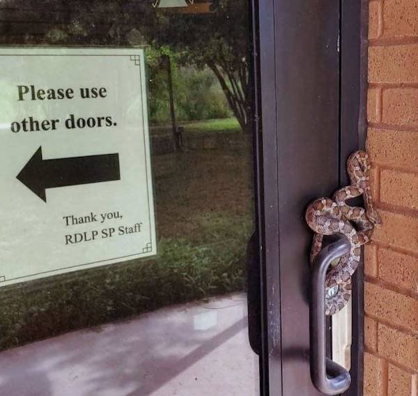 34 Pics Filled With NOPE.