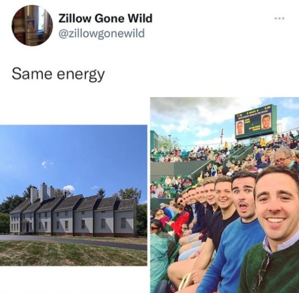 solitaire card when you win - Zillow Gone Wild Same energy