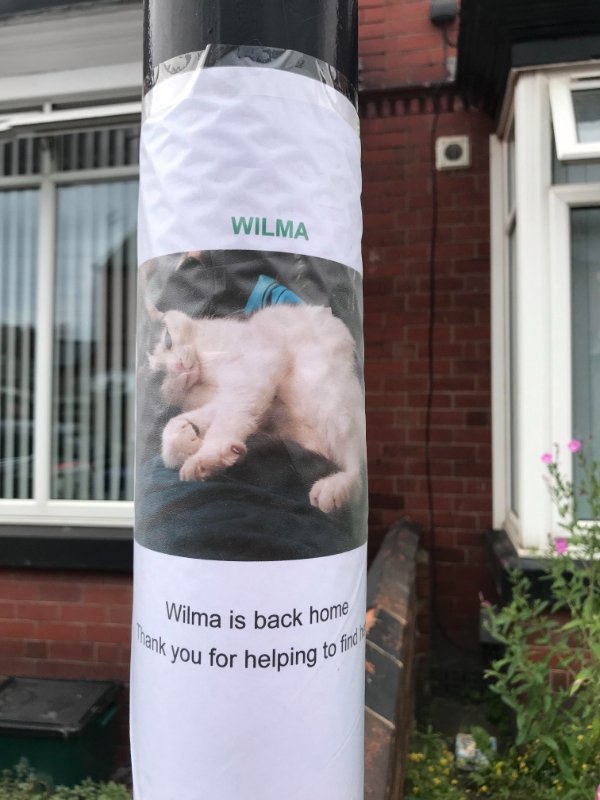“Missing Cat Owner posted a follow up where the previous missing posters were.”