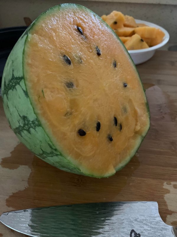 “Cut into a watermelon my husband picked up the other day at a farm stand and we learned that yellow watermelons are a thing!”