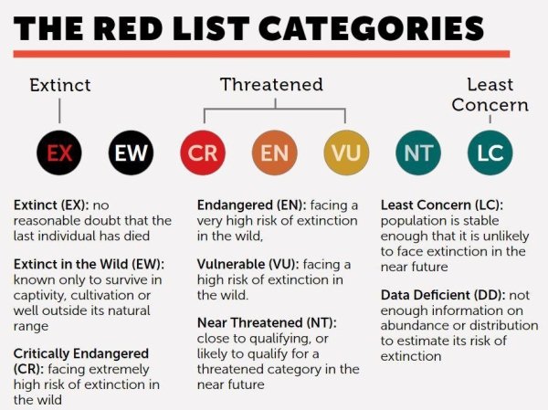 material - The Red List Categories Extinct Threatened Least Concern Ex Ew Cr En Vu Nt Lc Extinct Ex no reasonable doubt that the last individual has died Extinct in the Wild Ew known only to survive in captivity, cultivation or well outside its natural ra