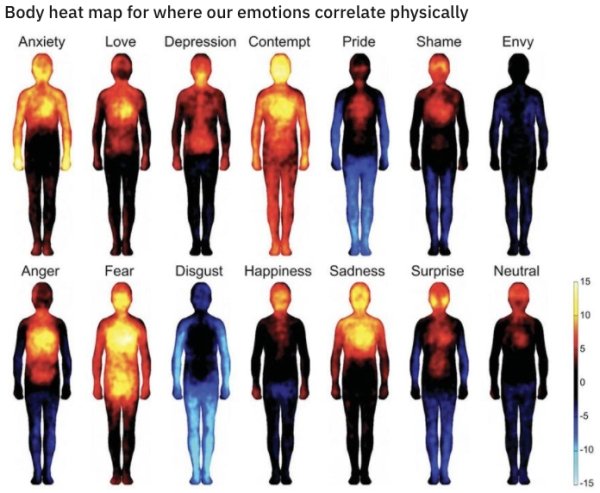 body temperature for every feeling - Body heat map for where our emotions correlate physically Anxiety Love Depression Contempt Pride Shame Envy Anger Fear Disgust Happiness Sadness Surprise Neutral 15 10 5 0 5 10 15