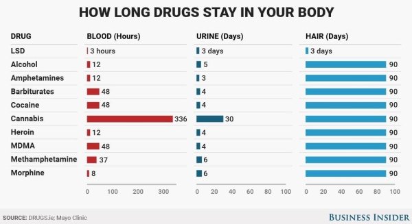 long do drugs stay in your system - 90 90 How Long Drugs Stay In Your Body Drug Blood Hours Urine Days Hair Days Lsd 13 hours 13 days 13 days Alcohol 112 15 Amphetamines 112 13 Barbiturates 14 Cocaine 14 Cannabis Heroin 112 14 Mdma 48 14 Methamphetamine M