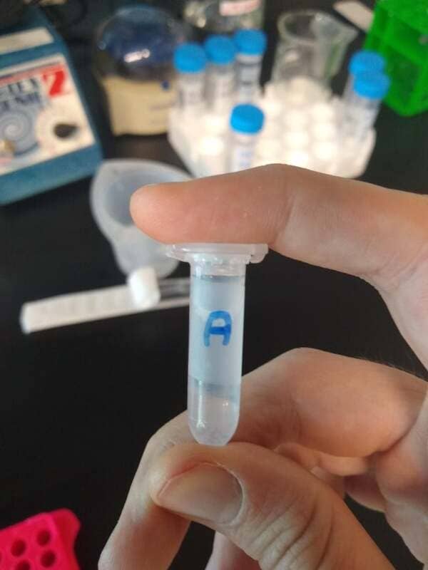 My research supervisor’s way of writing “D” on tubes.