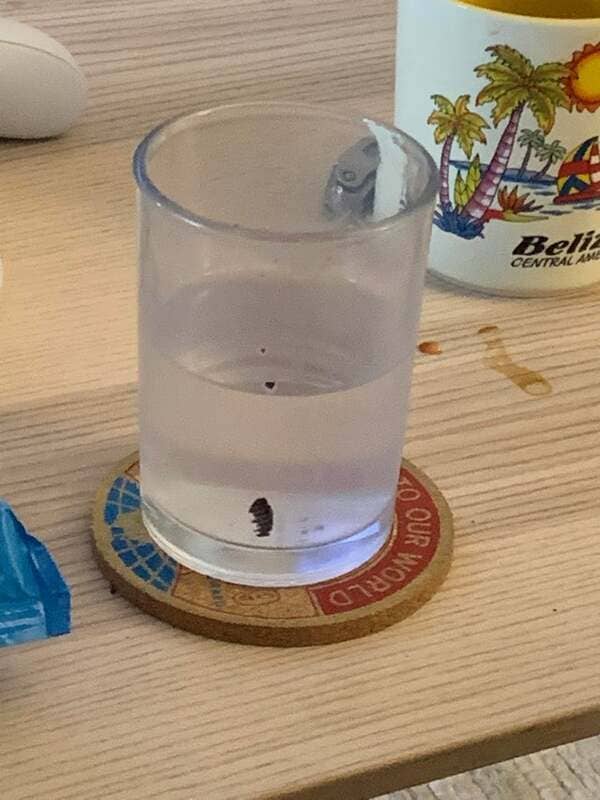 Instead of rinsing his cup between drinks, my boyfriend will just refill it with whatever since it “mixes in his stomach anyway”. pictured is his glass of “water” after milk and Oreos.