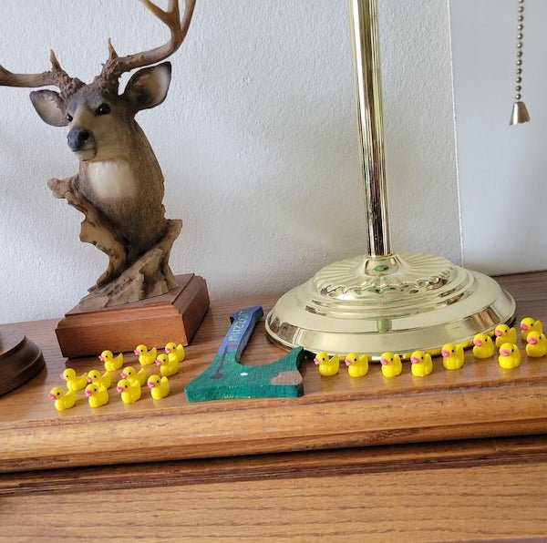 I randomly hide tiny ducks around my parent’s house. My dad has found them and started an army.