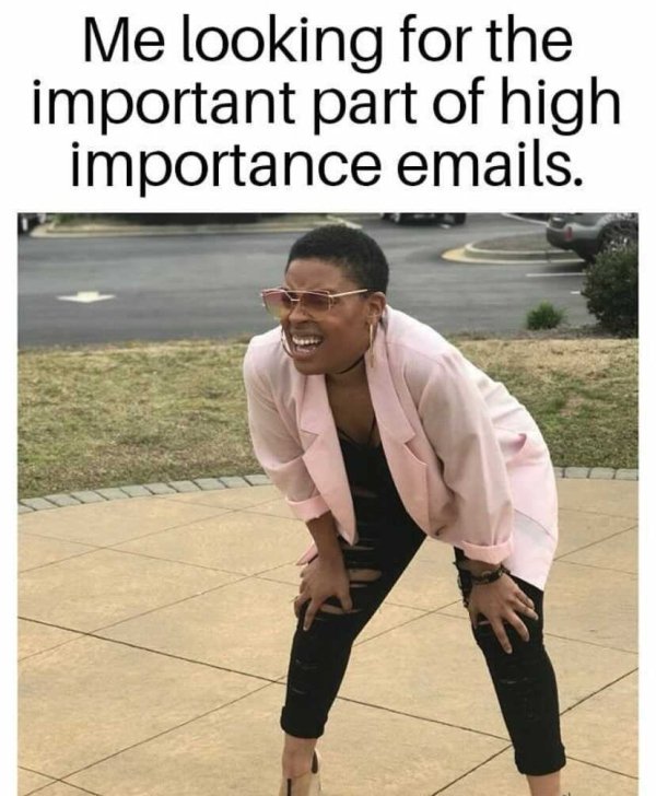 can t see you meme - Me looking for the important part of high importance emails.