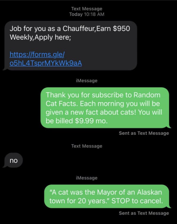 screenshot - Text Message Today Job for you as a Chauffeur, Earn $950 Weekly, Apply here; 05hL4TsprMYkWk9aA iMessage Thank you for subscribe to Random Cat Facts. Each morning you will be given a new fact about cats! You will be billed $9.99 mo. Sent as Te