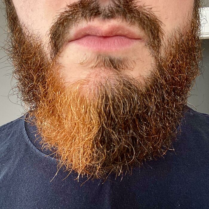 my beard orange