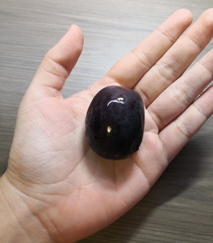 We wonder what the whole bunch of these grapes looked like...