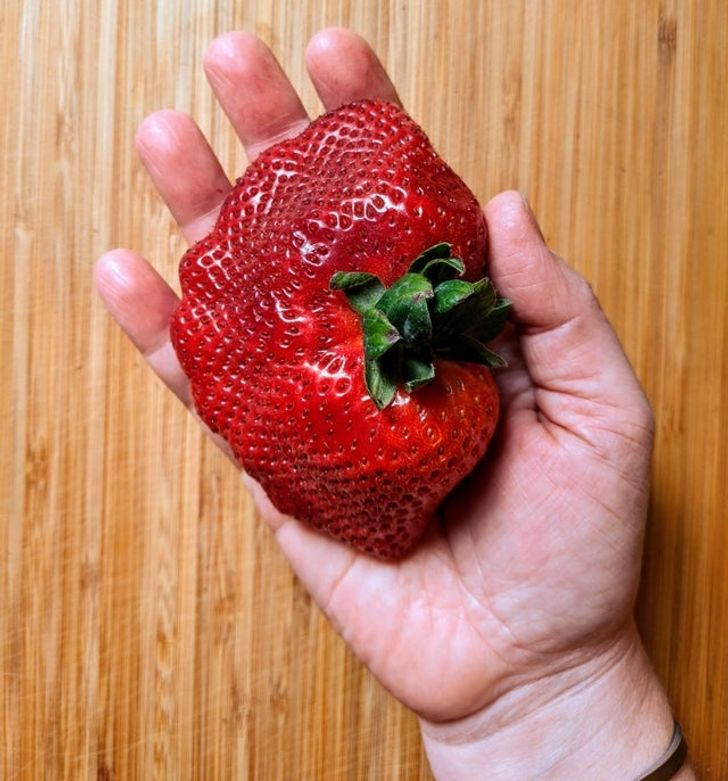 If only all strawberries were that big...