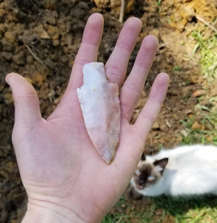 “Found this arrowhead while digging a hole in my backyard.”