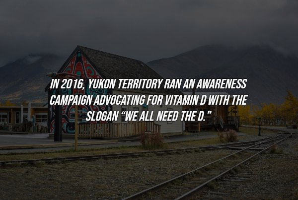 track - In 2016, Yukon Territory Ran An Awareness Campaign Advocating For Vitamin D With The Slogan We All Need The D.