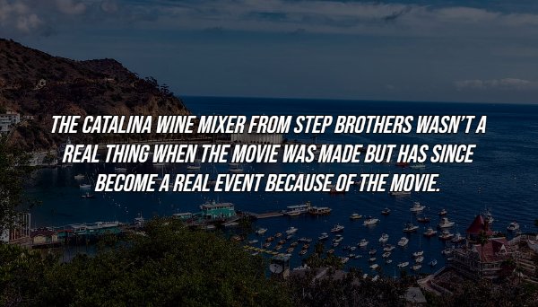 sky - The Catalina Wine Mixer From Step Brothers Wasn'T A Real Thing When The Movie Was Made But Has Since Become A Real Event Because Of The Movie.
