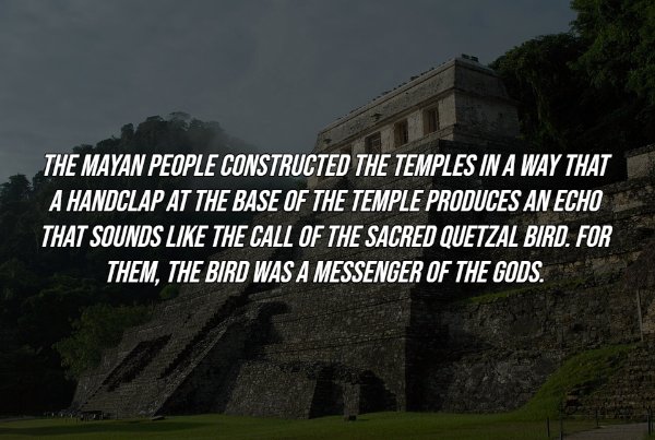 nature - The Mayan People Constructed The Temples In A Way That A Handclap At The Base Of The Temple Produces An Echo That Sounds The Call Of The Sacred Quetzal Bird. For Them, The Bird Was A Messenger Of The Gods.