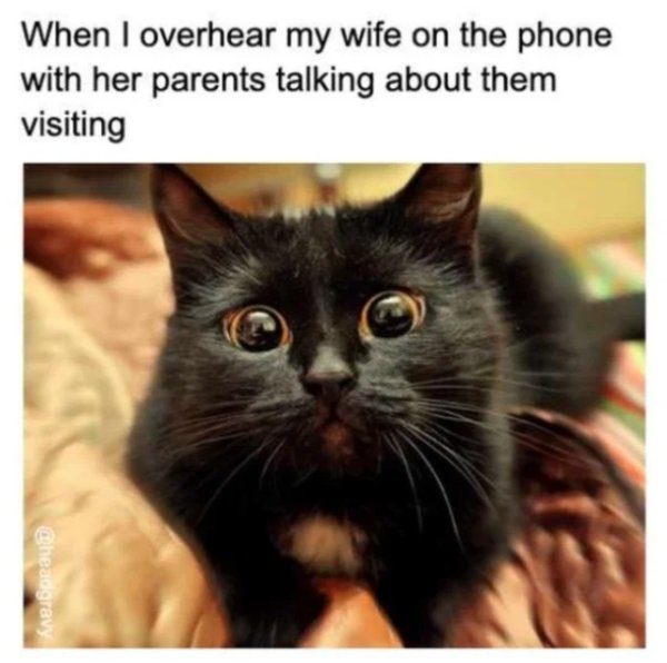 30 Memes Married Folk May Find Funny.