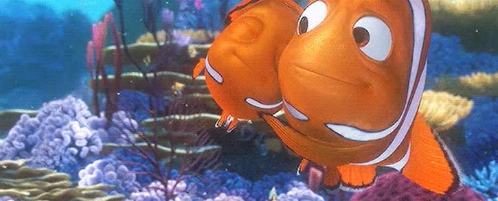 All Clownfish are Born male.

The Dominant Clown changes to female.

When the female dies the next dominant male steps up into motherhood.

Yes Nemo’s dad is now his new mother.