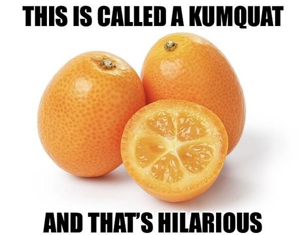 nova era silicon - This Is Called A Kumquat And That'S Hilarious
