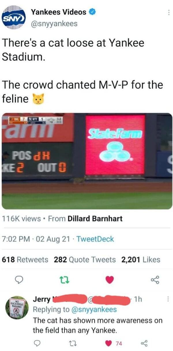 savage comments and brutal comebacks - media - Sny Yankees Videos There's a cat loose at Yankee Stadium. The crowd chanted MVP for the feline Bal In Nyy 12 Selena Pos Dh Kez Out O views From Dillard Barnhart 02 Aug 21 TweetDeck 618 282 Quote Tweets 2,201 
