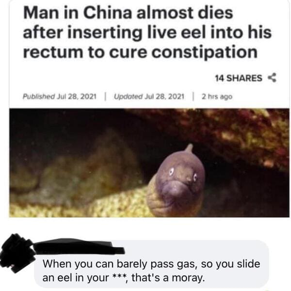 savage comments and brutal comebacks - fauna - Man in China almost dies after inserting live eel into his rectum to cure constipation 14 Published | Updated | 2 hrs ago , | When you can barely pass gas, so you slide an eel in your , that's a moray.