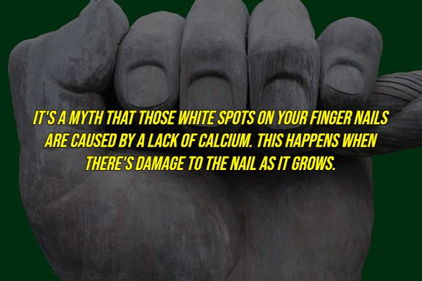 common myths - material - It'S A Myth That Those White Spots On Your Finger Nails Are Caused By A Lack Of Calcium. This Happens When There'S Damage To The Nail As It Grows.