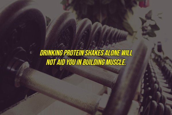 common myths - Drinking Protein Shakes Alone Will Not Aid You In Building Muscle.