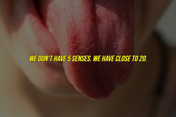 common myths - We Don'T Have 5 Senses. We Have Close To 20.