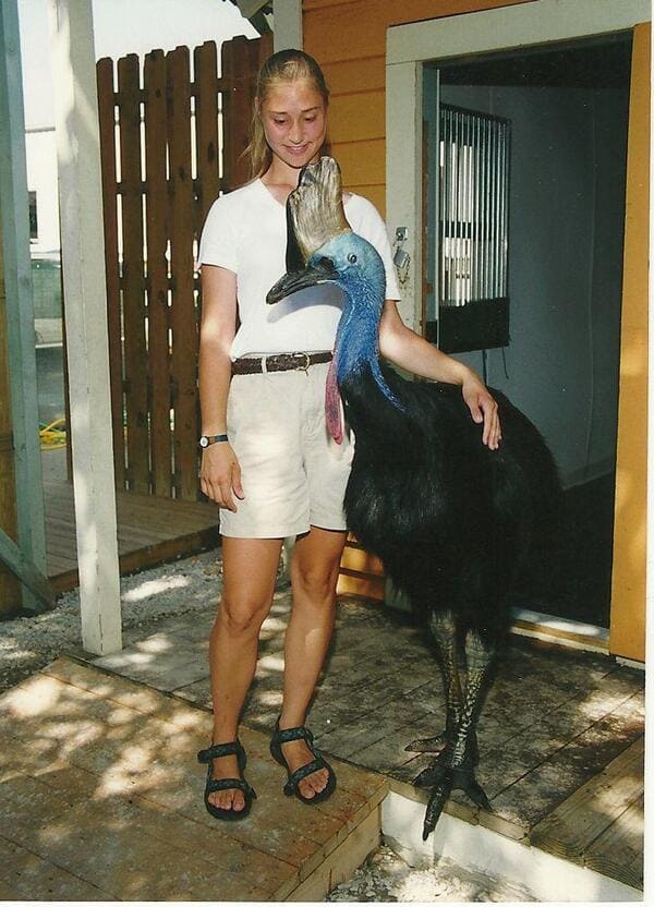 massive things with a human for scale - cassowary with human - 2.
