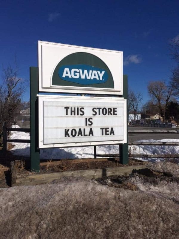 spelling fails - street sign - Agway This Store Is Koala Tea