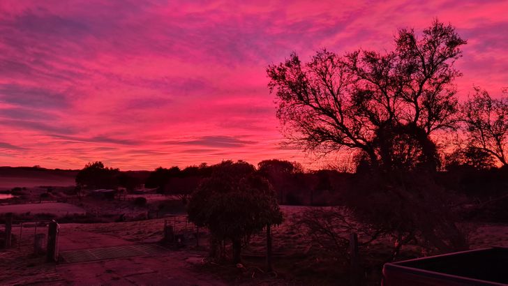 “The sky was a pretty pink this morning.”