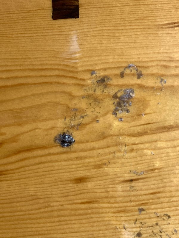 “Last coat of varnish and a moth decided to do a dive bomb”