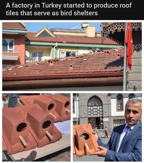 “These birdhouses that work as roof shingles.”