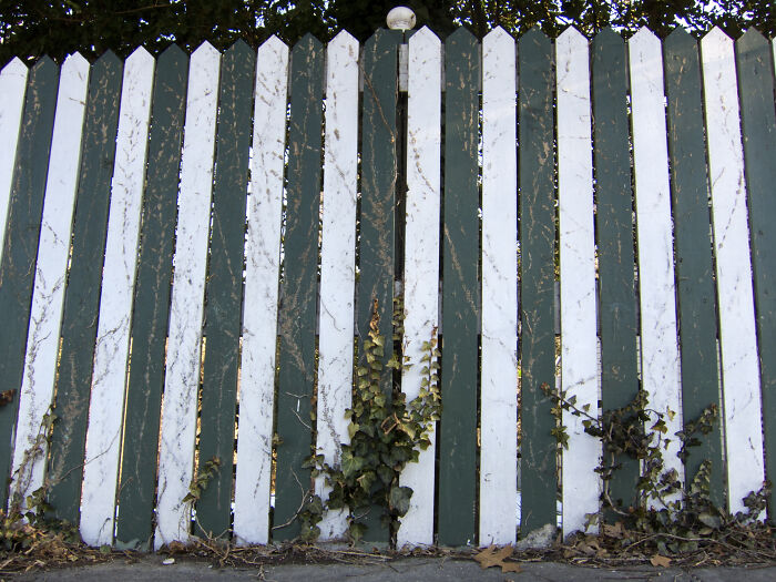 My mom's neighbor called the city to demand my mom repair the fence that divided their yards. This lady had been a crab apple for 10+ years, but this move pissed my mom off. The fence did need mild repairs, but my mom was already in the process of getting quotes to fix it and would have done it if the neighbor had just talked to her. When the city contacted my mom and said she had to maintain the fence, she asked if she legally had to have one. Turns out there are rules about maintaining a fence, but not requiring you have one, so my mom paid a contractor to tear it down entirely. The neighbor asked my mom when the new fence would be built, and she said, 'You want a fence? Build it yourself!' A couple weeks later, my mom had a nice new fence, courtesy of one annoying neighbor.